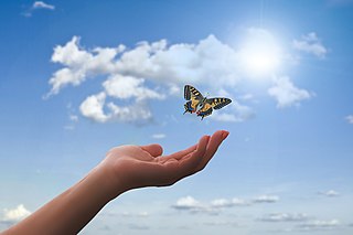 A butterfly symbolising transformation and open assumptions