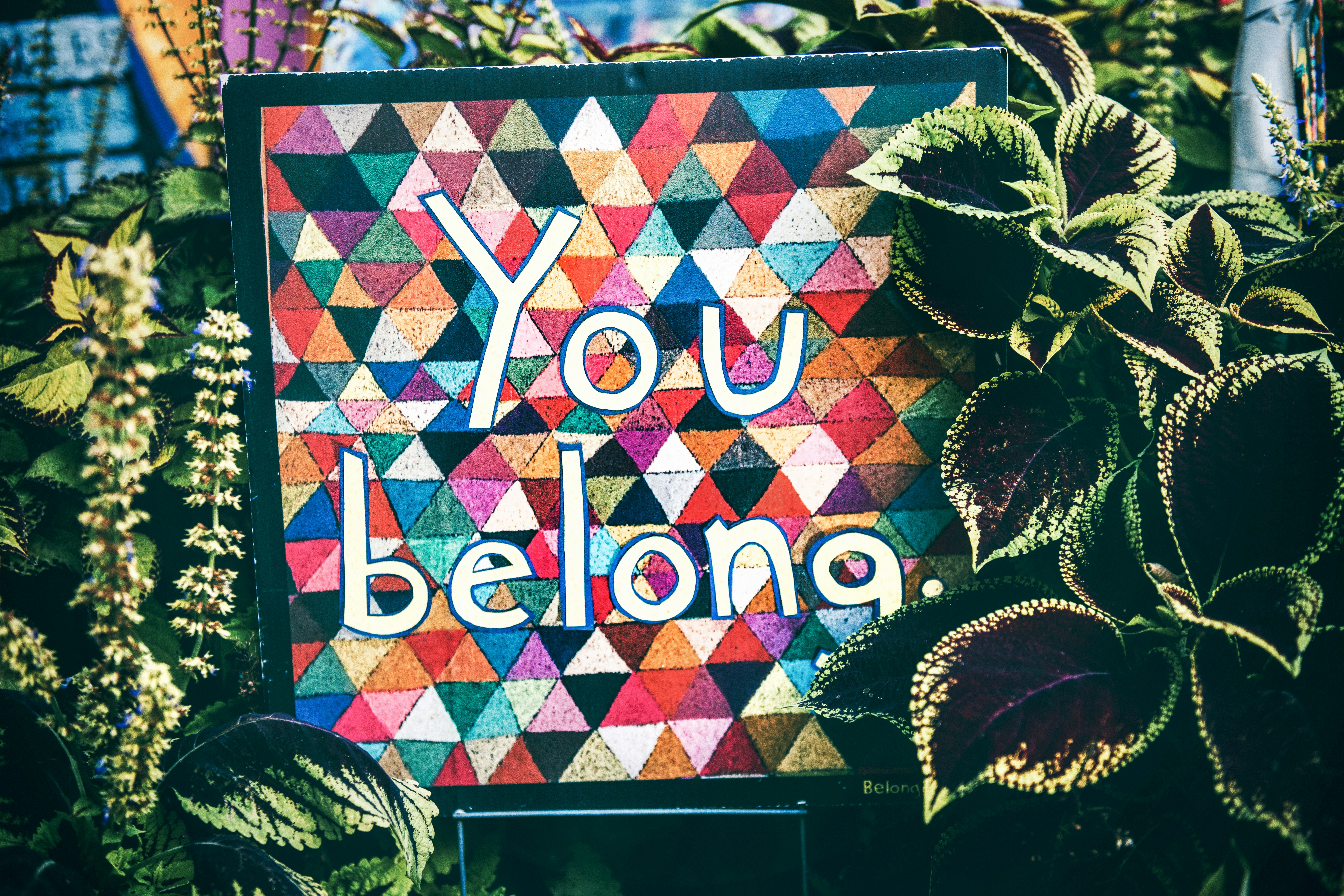 Equality and wellbeing illustration